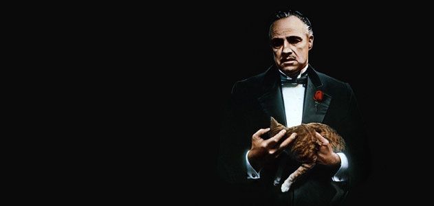 seogodfather